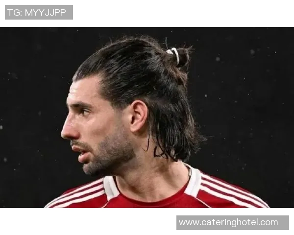 探索索博斯洛伊的历史与文化魅力，揭示其在现代社会中的重要性与影响